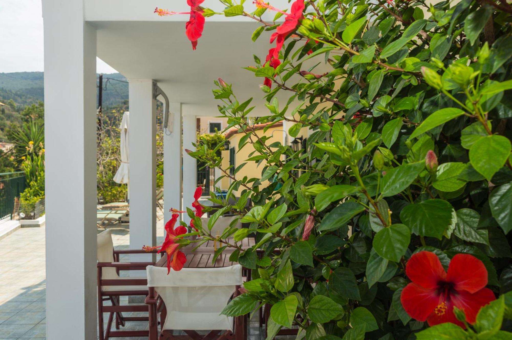 Dionos Villa Asos Exteriör bild